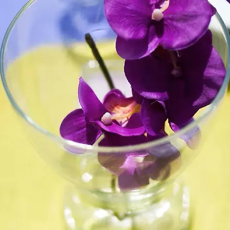 Quiet Bay Getaway Mona 5 7 And 8