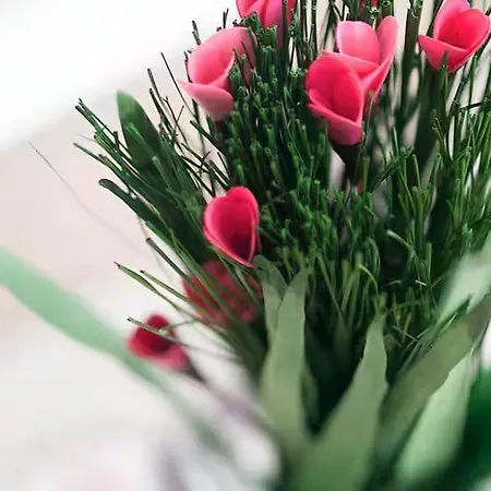 Quiet Bay Getaway Apt Mona 5 7 And 8 *