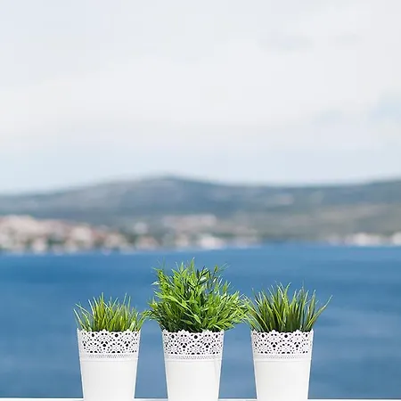 Mona Δωμάτια σε οικογενειακή κατοικία Ražanj