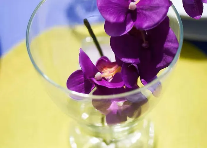 Quiet Bay Getaway Mona 5 7 And 8