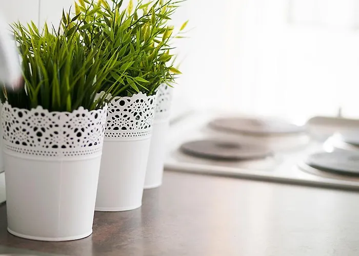 Quiet Bay Getaway Mona 5 7 And 8 Alloggio in famiglia Ražanj