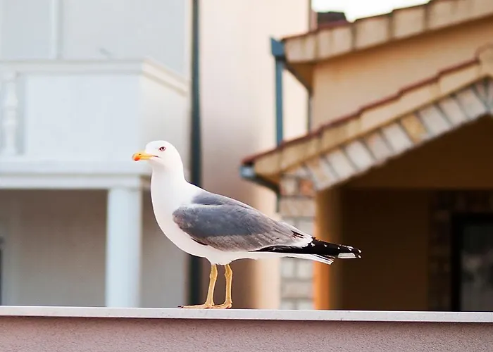 Quiet Bay Getaway Apt Mona 5 7 And 8 *